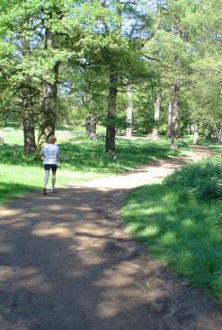 Anaerobic Threshold Running in the Park