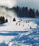 Skiing Flexibility and Mobility